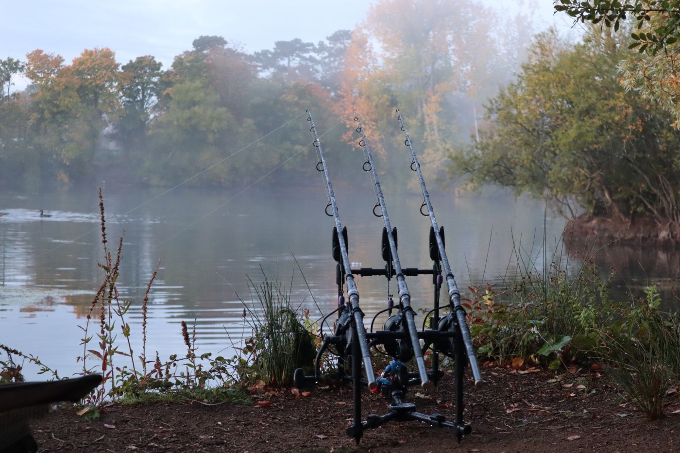 Canne feeder « Trent » 3,60 m — 90 g